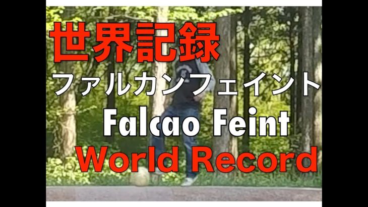 世界最高距離のファルカンフェイント World Record Width of Falco Feint
