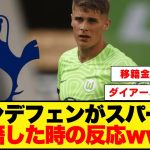 ファンデフェンがスパーズに移籍した時の反応www
