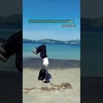 Cute Girl Crazy Skills ⚽🔥 #freestyle #football #soccer #skills #viral #trending #shorts