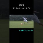 キム爺６２歳のファルカンフェイント４種