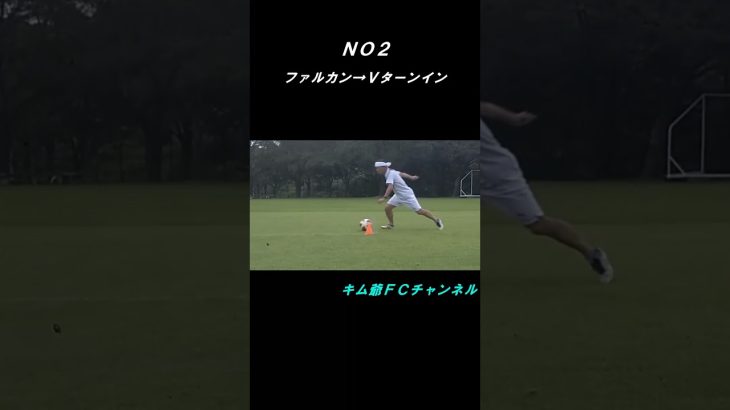 キム爺６２歳のファルカンフェイント４種