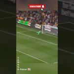 Football’s Most Elegant Chip Goals 🔥